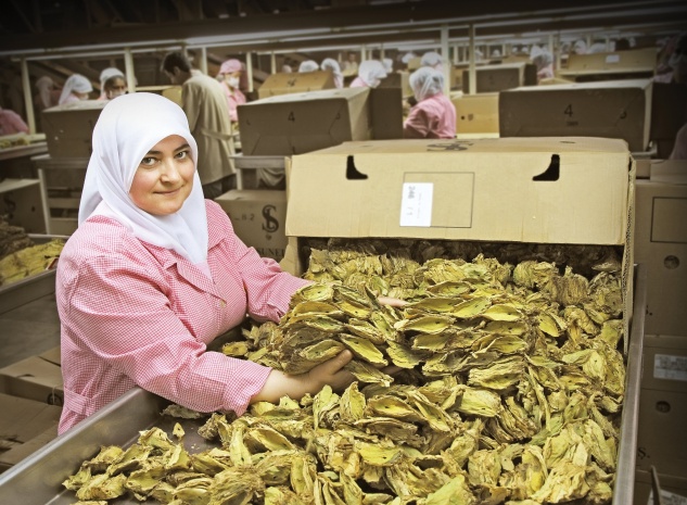 Türkiye’nin tarım ürünleri ihracatı 15 milyar dolara ulaştı