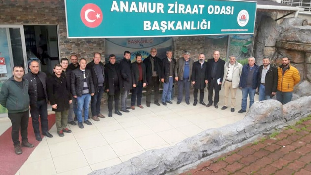 Anamur çileği için yeni kararlar