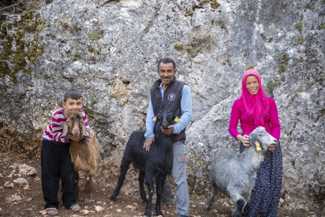 Büyükşehir ağılı yanan aileye küçükbaş hayvan verdi