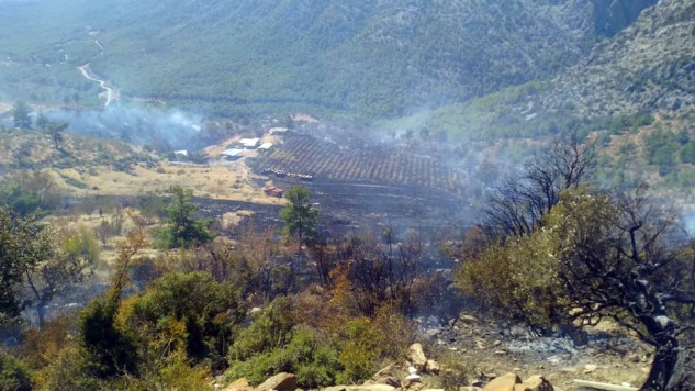 Aydıncıkta’ki orman yangını söndürüldü