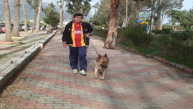 6 YILDIR EVLADI GİBİ BAKTIĞI KÖPEĞİ ÇALINDI