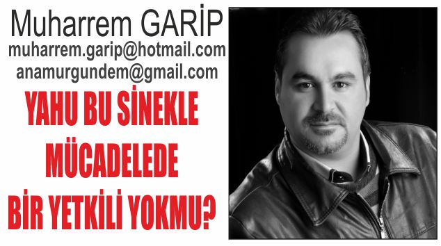 YAHU BU SİNEKLE MÜCADELEDE BİR YETKİLİ YOKMU?