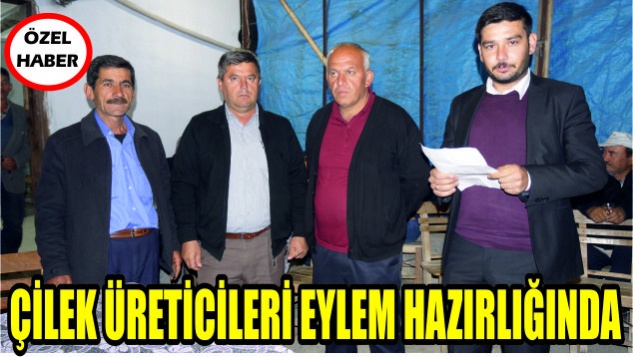 Anamurlu Çilek Üreticileri Eyleme hazırlanıyor