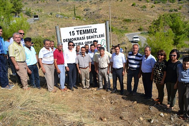 Bozyazı’da 15 Temmuz Şehitlerine hatıra ormanı